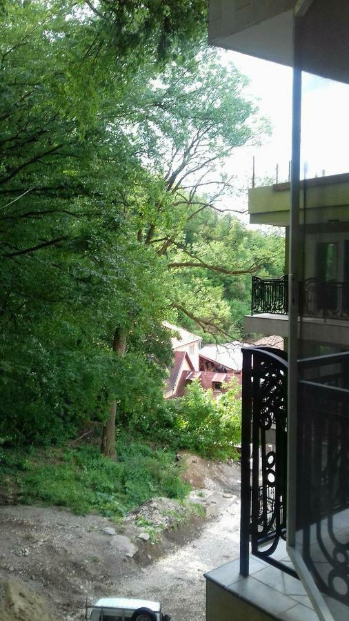 דירות בראשוב Apartament Ramona מראה חיצוני תמונה