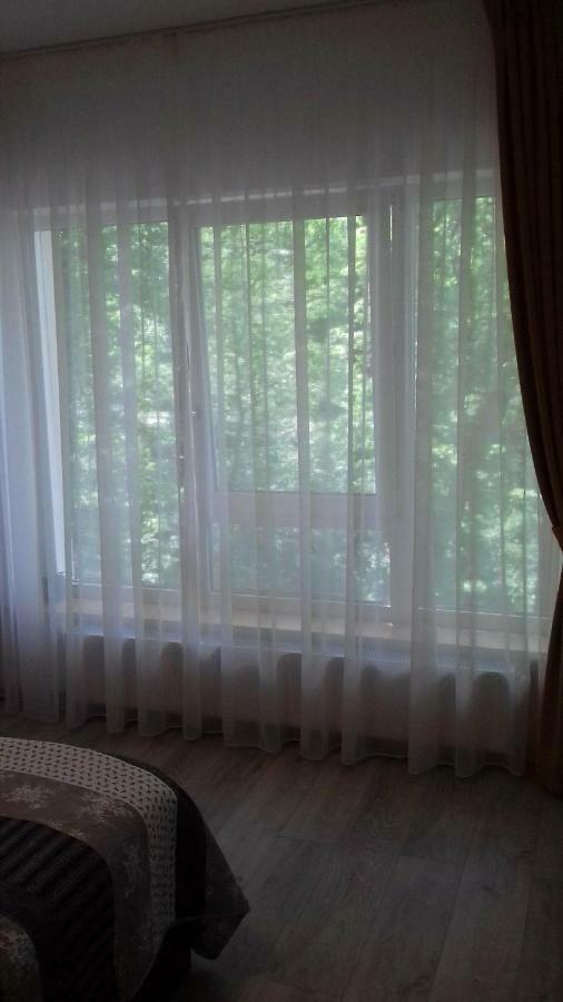 דירות בראשוב Apartament Ramona מראה חיצוני תמונה