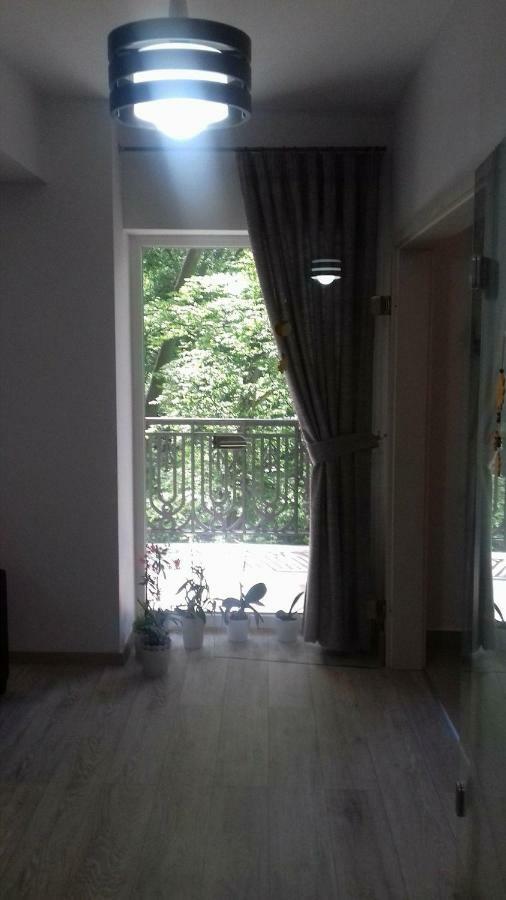 דירות בראשוב Apartament Ramona מראה חיצוני תמונה